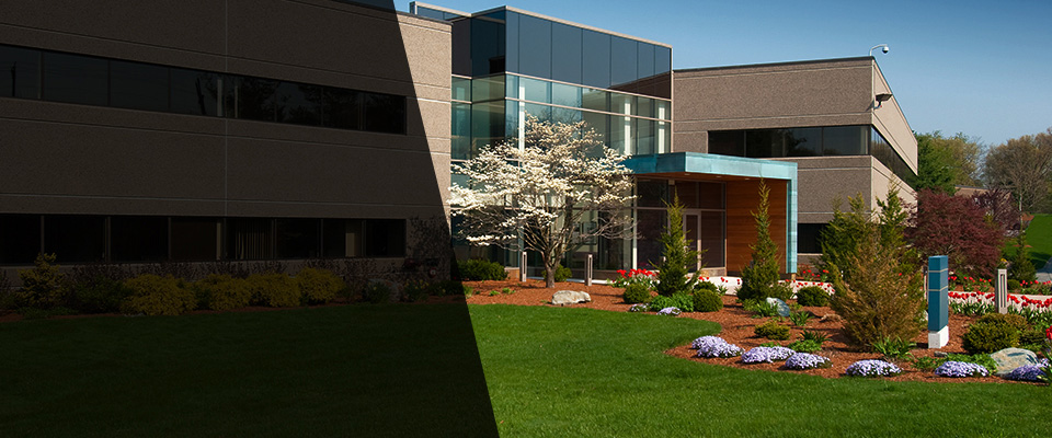 Mendon Landscapers