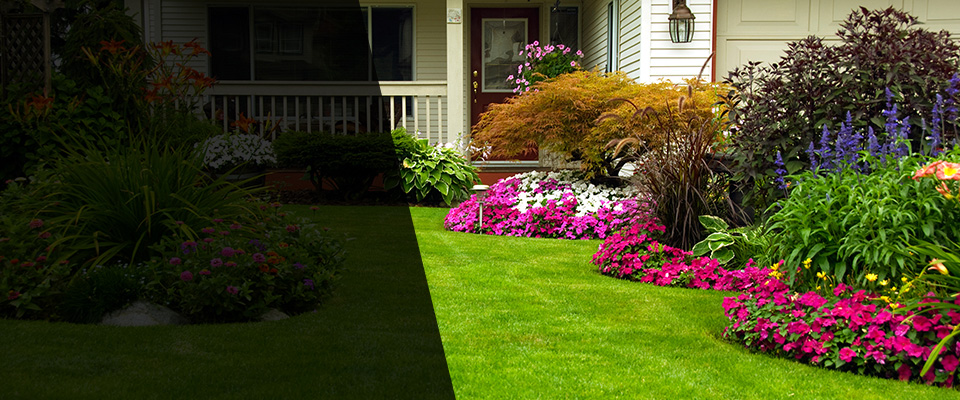 Mendon Landscapers
