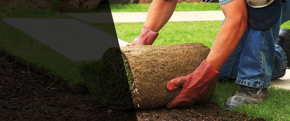 Mendon Landscapers